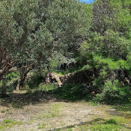 Triskele Casa Sul Mare *